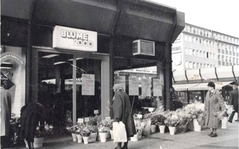 Hipp hipp hurray: BLUME2000 feiert am 08.03.2024 50-jähriges Jubiläum / Seit 1974 mehr Grün ins Leben der Menschen - Foto: presseportal.de