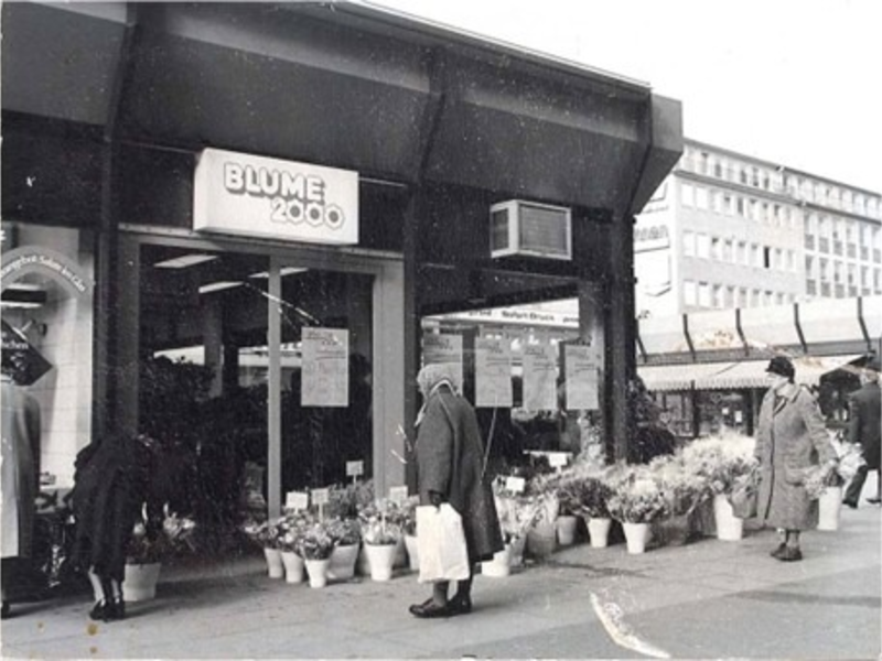 Hipp hipp hurray: BLUME2000 feiert am 08.03.2024 50-jähriges Jubiläum / Seit 1974 mehr Grün ins Leben der Menschen - Foto: presseportal.de