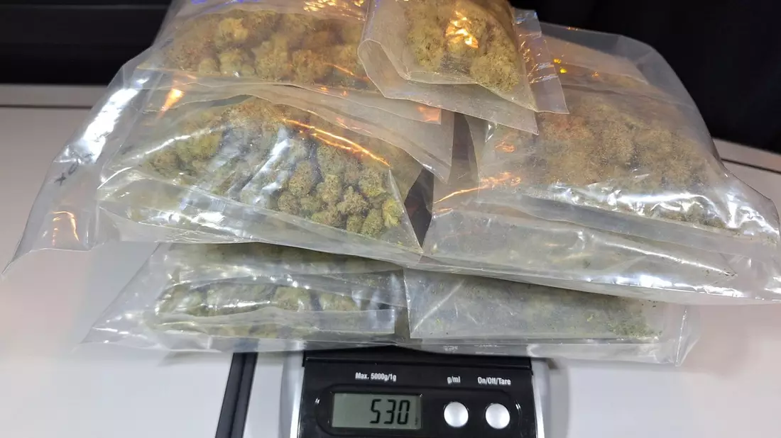 HZA-P: Knapp 530 Gramm Cannabis im Gepäck / Zoll leitet Strafverfahren ein und stellt Rauschmittel samt Mobiltelefon sicher - Bild: presseportal.de