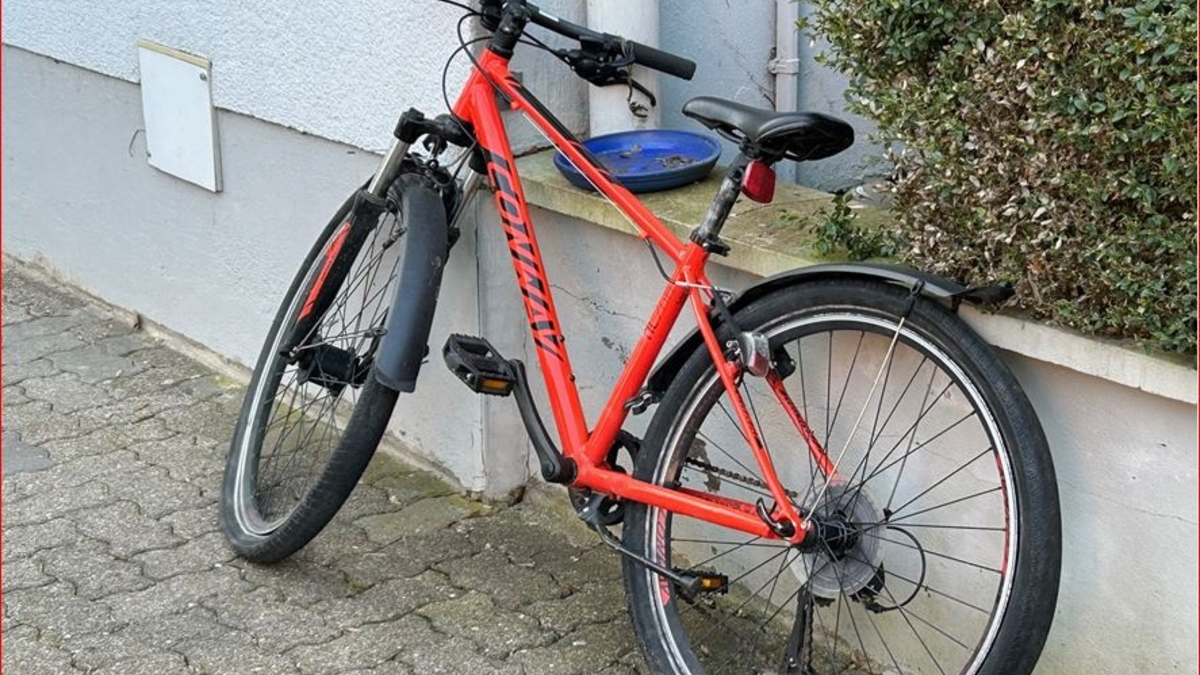 POL-PDLD: Eigentümer zu rotem MTB gesucht - Foto: presseportal.de