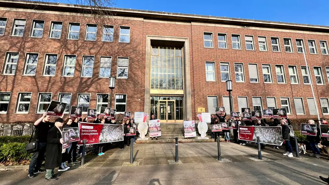 Erfolg für Tierschutz-Klage vor dem VGH Mannheim - Bild: presseportal.de