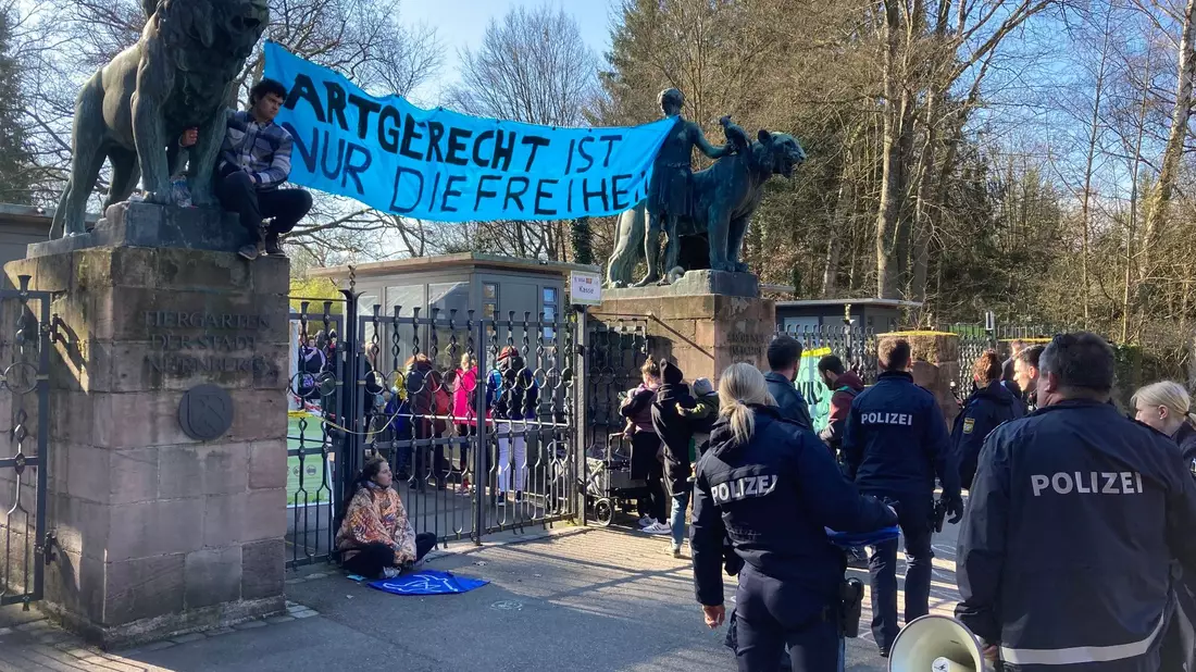 Aktivisten demonstrieren am Nürnberger Zoo gegen die geplante Tötung von Pavianen. - Bild: Sebastian Schlenker/dpa