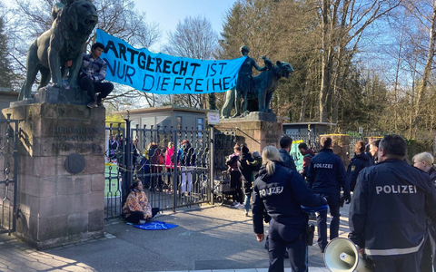 Aktivisten demonstrieren am Nürnberger Zoo gegen die geplante Tötung von Pavianen. - Foto: Sebastian Schlenker/dpa
