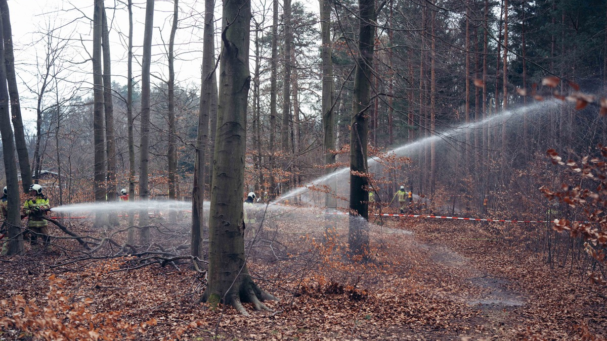 FW Dresden: Waldbrandübung in der Dresdner Heide - Foto: presseportal.de