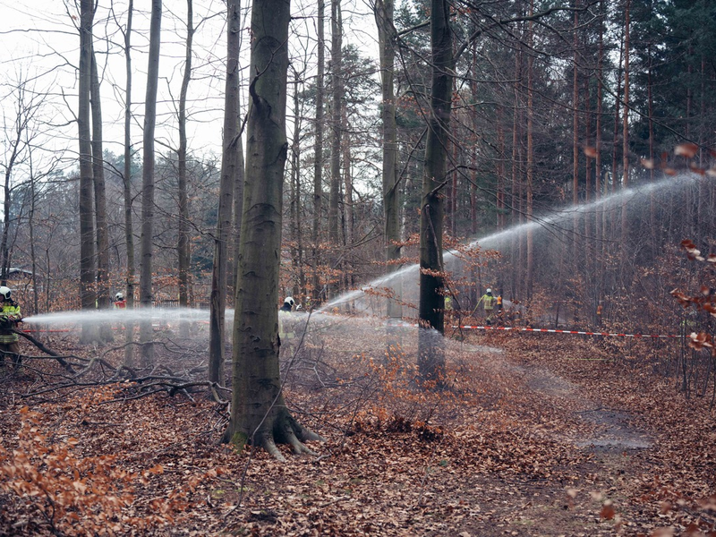 FW Dresden: Waldbrandübung in der Dresdner Heide - Foto: presseportal.de