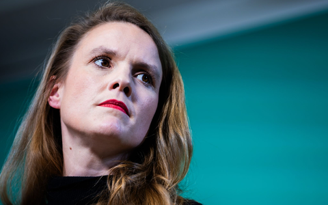 Das Recht auf körperliche Selbstbestimmung von Frauen dürfe nicht von politischen Mehrheiten abhängen, sagt Terry Reintke. - Foto: Christoph Soeder/dpa