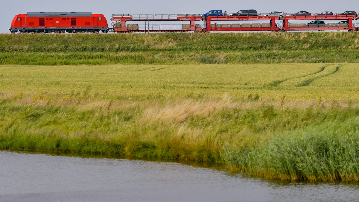 Der Sylt-Shuttle in der Nähe von Klanxbüll auf dem Weg zur Nordseeinsel. - Foto: Axel Heimken/dpa