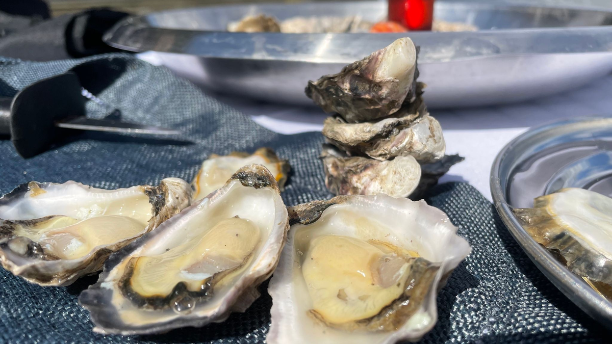 Fertig zum Verzehr - frische Sydney Rock Oysters. - Foto: Michelle Ostwald/dpa