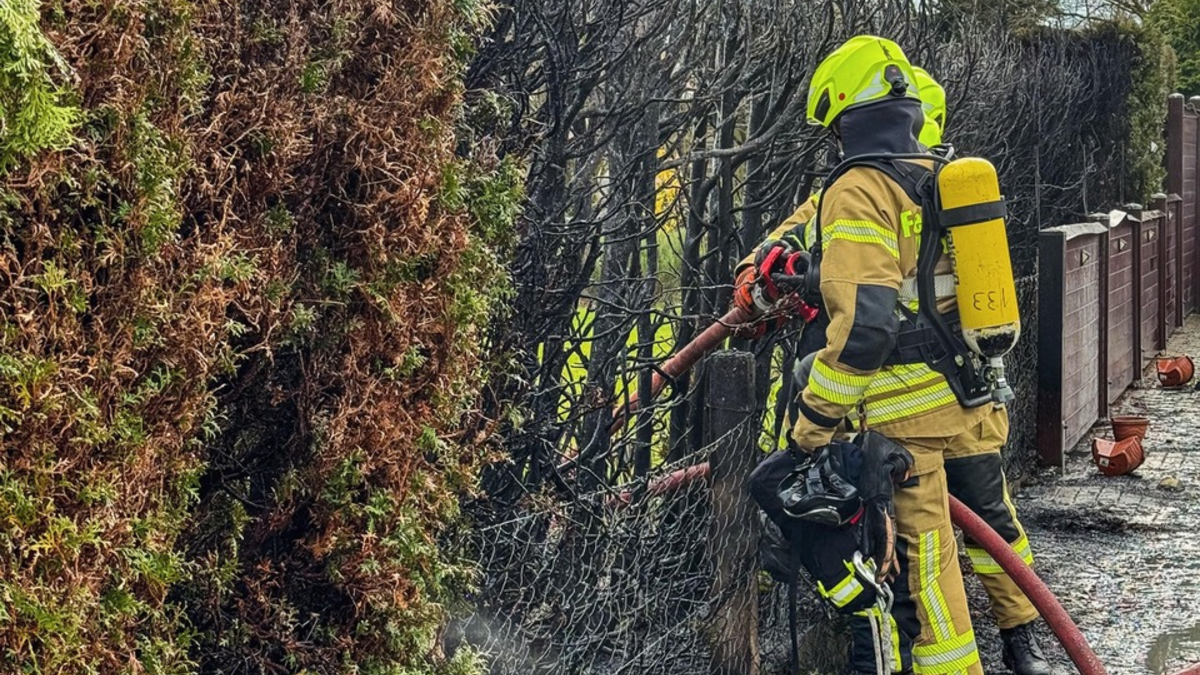 FW-DT: Heckenbrand - Foto: presseportal.de