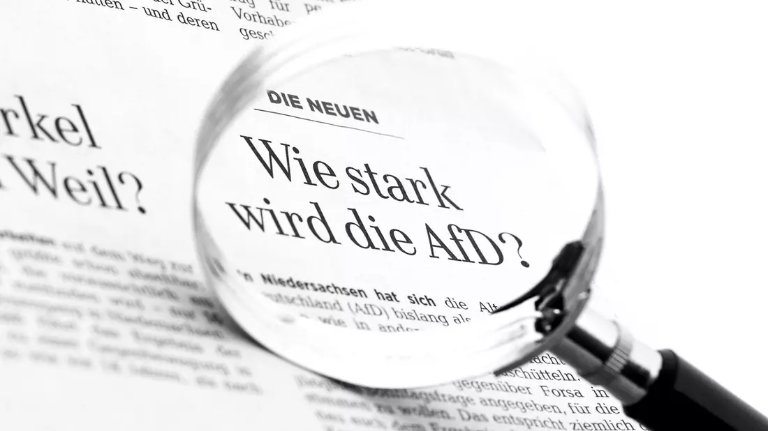 Monitor: „Toxisch für die Demokratie“ - Ehemaliger Ostbeauftragter fordert CDU/CSU auf, Kampagne gegen Grüne zu beenden. - Bild: presseportal.de
