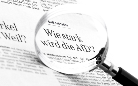 Monitor: „Toxisch für die Demokratie“ - Ehemaliger Ostbeauftragter fordert CDU/CSU auf, Kampagne gegen Grüne zu beenden. - Foto: presseportal.de