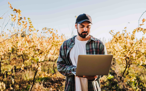 Frostschutz - Foto: Shutterstock über pressetext.de