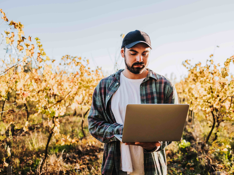 Frostschutz - Foto: Shutterstock über pressetext.de