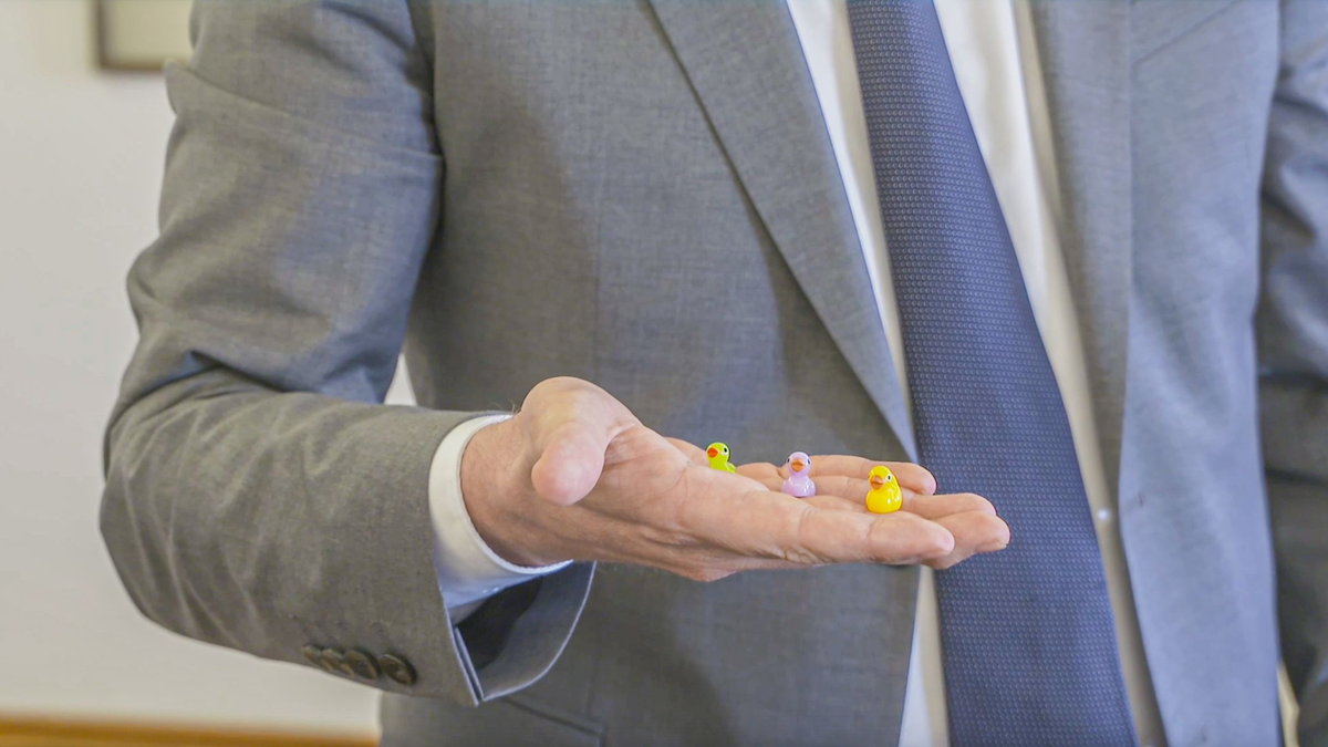 Kleine Entenfiguren werden im Ulmer Rathaus versteckt. - Foto: Jason Tschepljakow/dpa