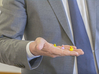 Kleine Entenfiguren werden im Ulmer Rathaus versteckt. - Foto: Jason Tschepljakow/dpa