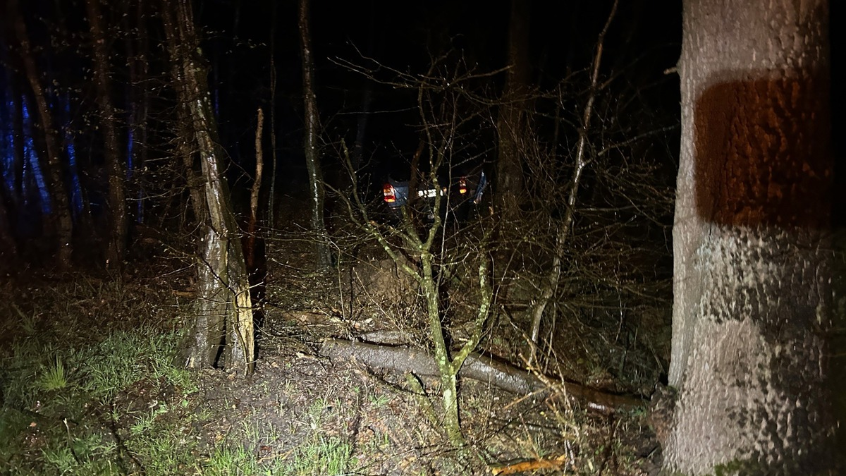 POL-PDLD: Kandel - Alleinunfall unter Alkoholeinfluss - Foto: presseportal.de