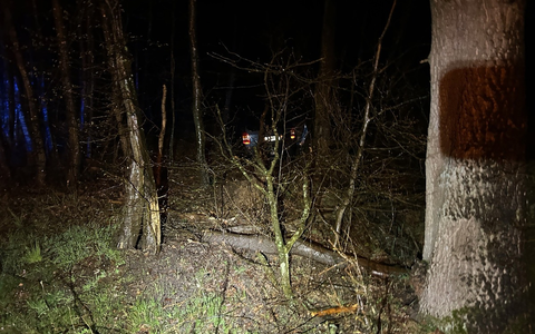 POL-PDLD: Kandel - Alleinunfall unter Alkoholeinfluss - Foto: presseportal.de