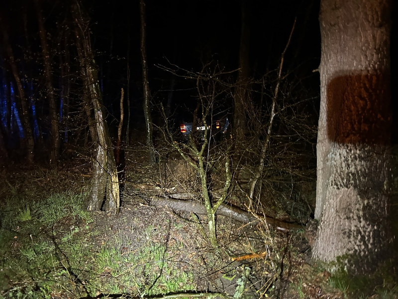 POL-PDLD: Kandel - Alleinunfall unter Alkoholeinfluss - Foto: presseportal.de