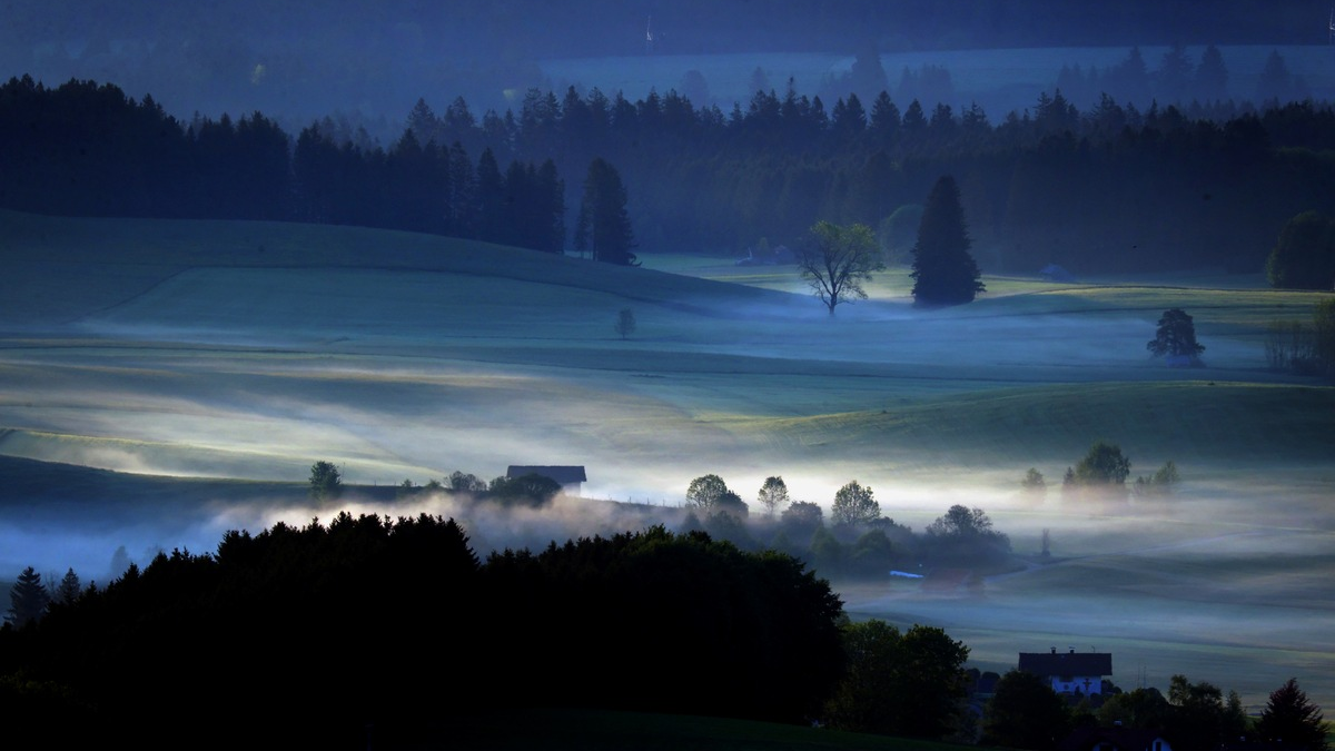 75 Jahre BRD: Picture Alliance und Art 28 starten gemeinsames Projekt - Foto: presseportal.de