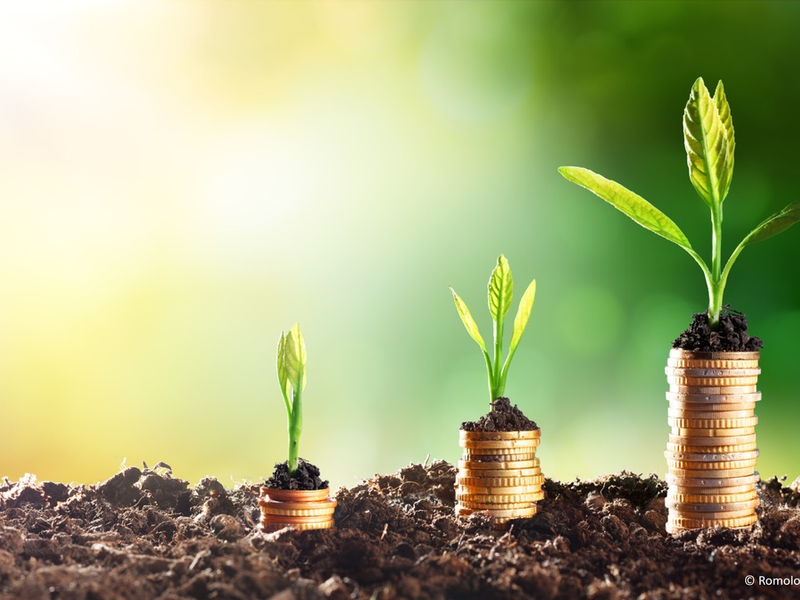 EU-Taxonomie: vdpResearch und Drees & Sommer präsentieren Top 15 %-Kriterien für internationale Immobilien - Foto: presseportal.de