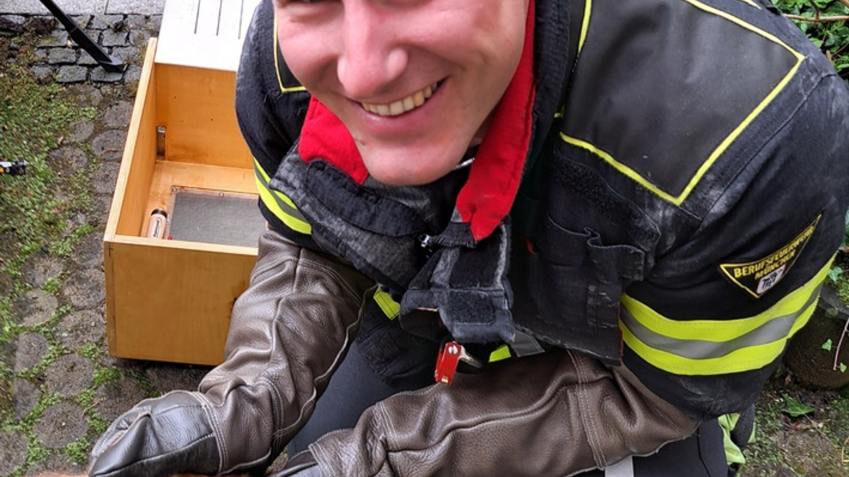 FW-M: Eichhörnchen in Not (Haidhausen) - Foto: presseportal.de