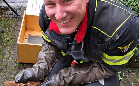 FW-M: Eichhörnchen in Not (Haidhausen) - Foto: presseportal.de