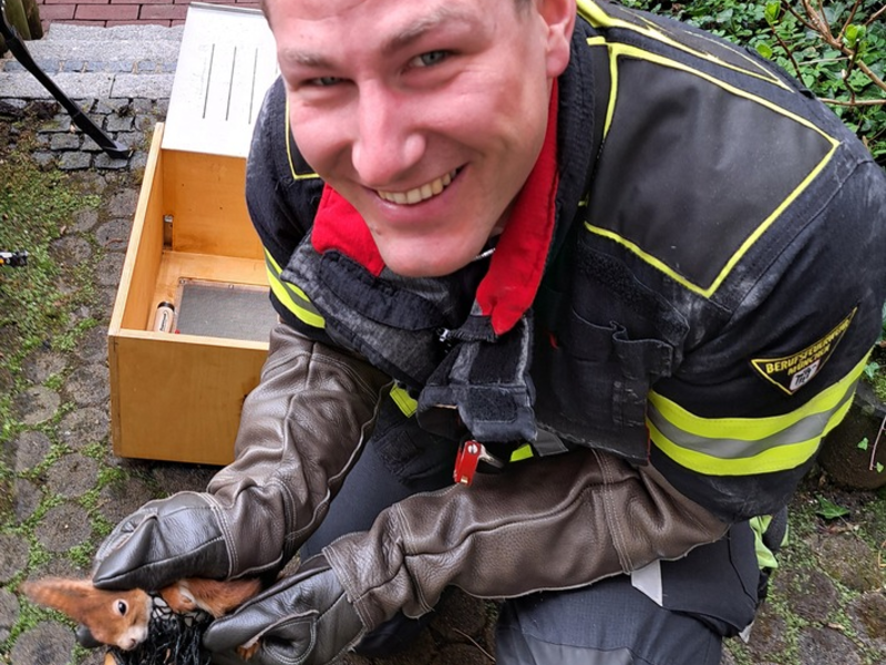 FW-M: Eichhörnchen in Not (Haidhausen) - Foto: presseportal.de