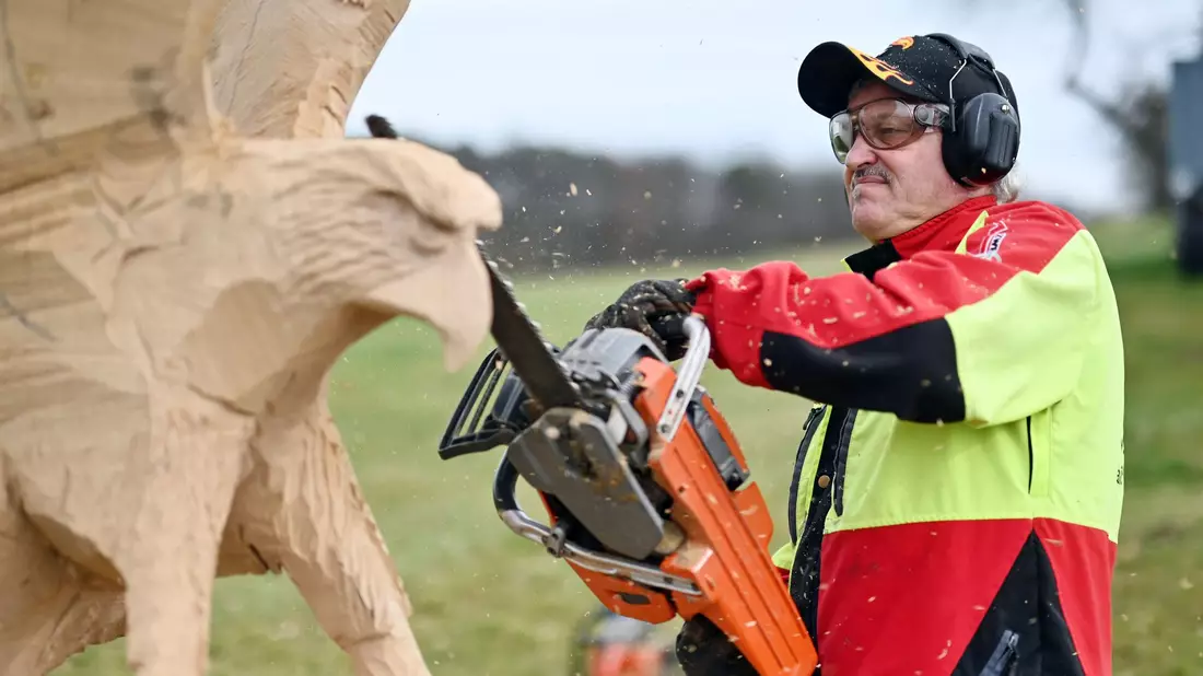Der Kettensägen-Holzschnittkünstler Dieter Binder arbeitet an einer Skulptur in Form eines Adlers. - Bild: Uli Deck/dpa