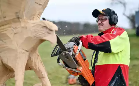 Der Kettensägen-Holzschnittkünstler Dieter Binder arbeitet an einer Skulptur in Form eines Adlers. - Foto: Uli Deck/dpa