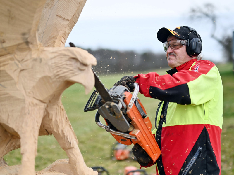 Der Kettensägen-Holzschnittkünstler Dieter Binder arbeitet an einer Skulptur in Form eines Adlers. - Foto: Uli Deck/dpa