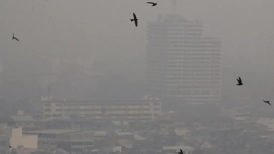 Die weltberühmte Tempelstadt Chiang Mai rangierte in der Statistik der Städte mit der stärksten Luftverschmutzung der Welt wieder an oberster Stelle. - Bild: Wichai Taprieu/AP/dpa