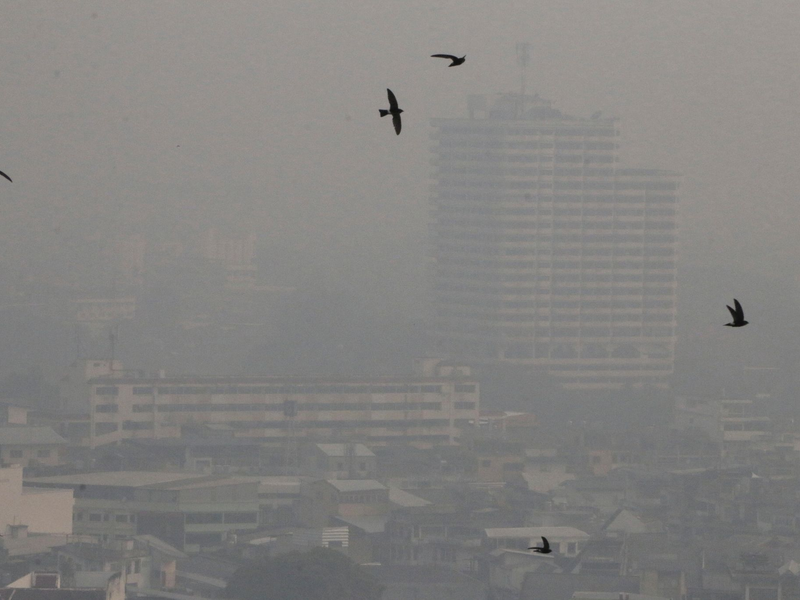 Die weltberühmte Tempelstadt Chiang Mai rangierte in der Statistik der Städte mit der stärksten Luftverschmutzung der Welt wieder an oberster Stelle. - Foto: Wichai Taprieu/AP/dpa