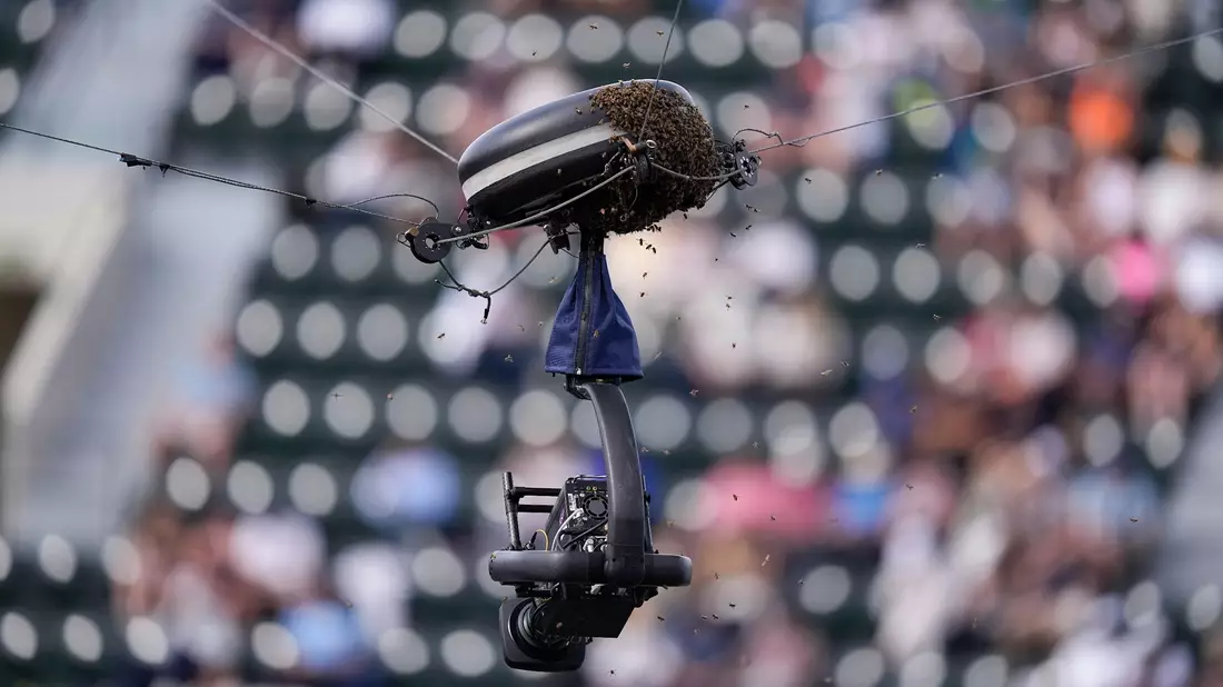 Bienen umschwirren eine Kamera in Indian Wells. - Bild: Mark J. Terrill/AP/dpa