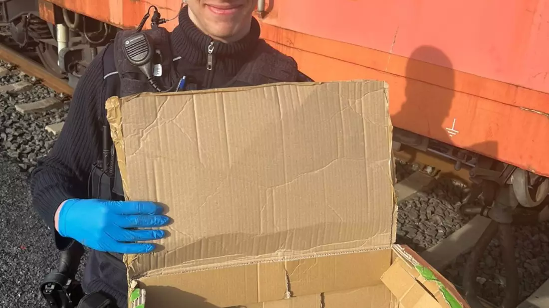 BPOL-KS: Bundespolizei holt verletzte Katze von den Gleisen - Bild: presseportal.de