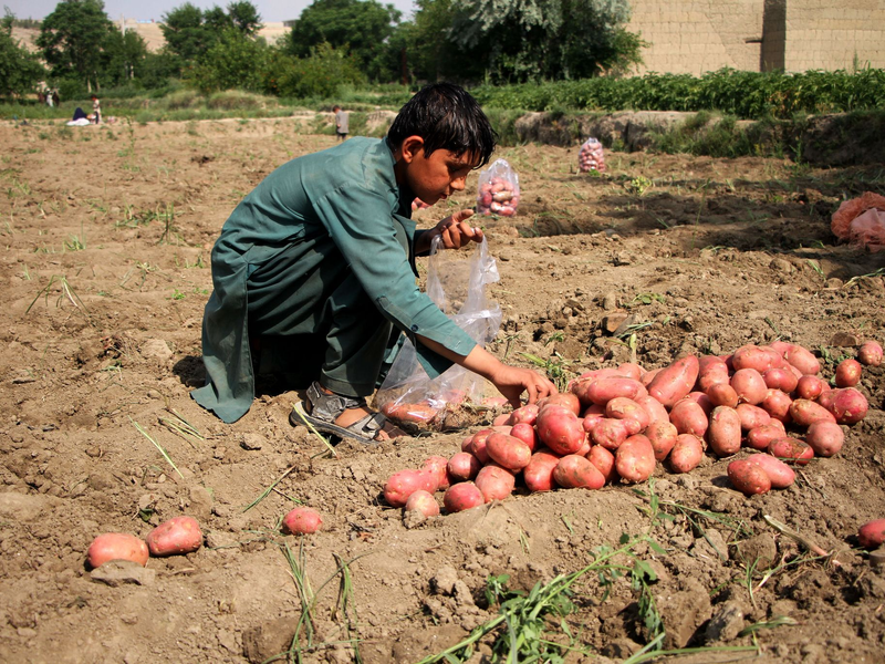 Ziel des EU-Lieferkettengesetzes ist es, Menschenrechte weltweit zu stärken. - Foto: Saifurahman Safi/Xinhua/dpa