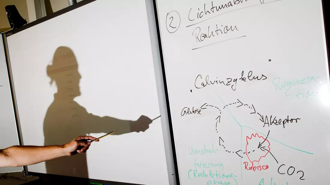 Ein Lehrer wirft einen Schatten auf ein Smartboard in einem Biologie-Leistungskurs.
Die Bundesländer erwarten einen Zuschuss von 6,5 Milliarden Euro für eine Fortsetzung des Digitalpakt Schule 2.0. - Bild: Julian Stratenschulte/dpa