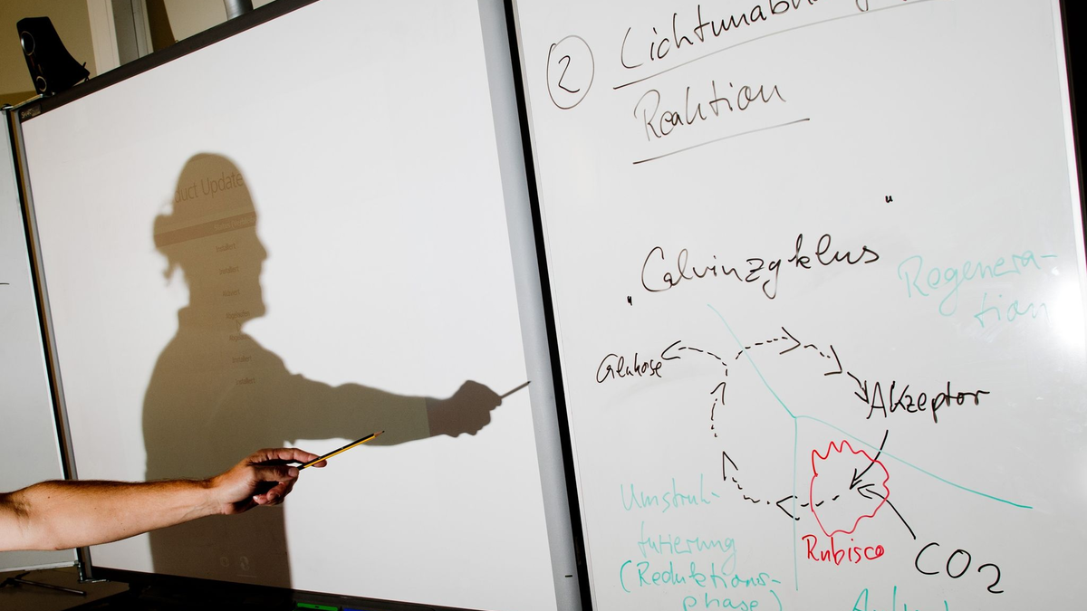 Ein Lehrer wirft einen Schatten auf ein Smartboard in einem Biologie-Leistungskurs.
Die Bundesländer erwarten einen Zuschuss von 6,5 Milliarden Euro für eine Fortsetzung des Digitalpakt Schule 2.0. - Foto: Julian Stratenschulte/dpa