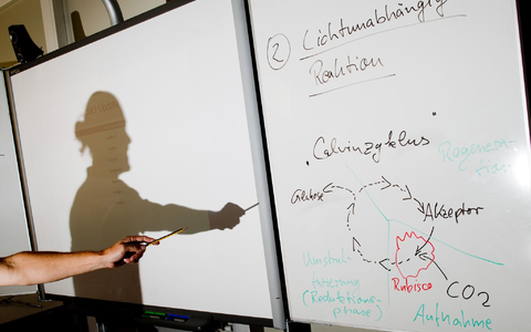 Ein Lehrer wirft einen Schatten auf ein Smartboard in einem Biologie-Leistungskurs.
Die Bundesländer erwarten einen Zuschuss von 6,5 Milliarden Euro für eine Fortsetzung des Digitalpakt Schule 2.0. - Foto: Julian Stratenschulte/dpa