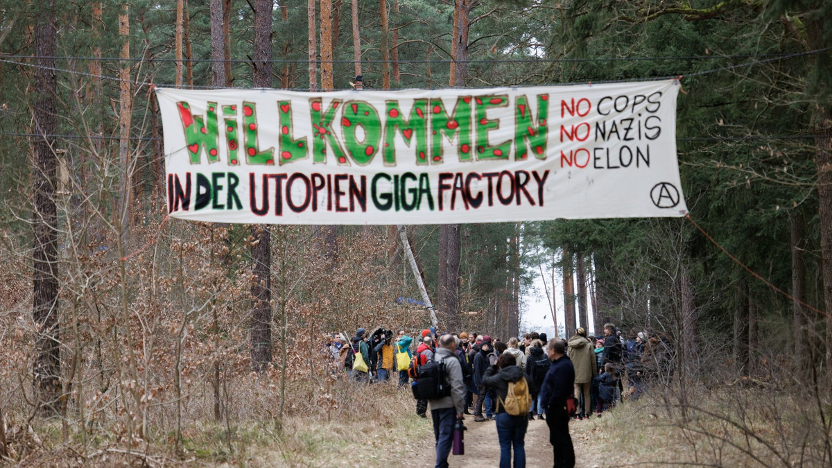 Ziel der Aktivisten ist es, eine Rodung des Waldstücks im Zuge einer geplanten Erweiterung des Tesla-Geländes mit Güterbahnhof zu verhindern. - Foto: Carsten Koall/dpa