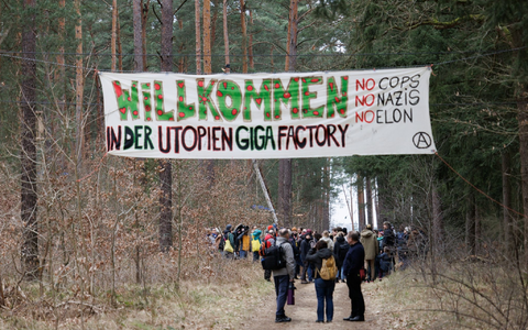Ziel der Aktivisten ist es, eine Rodung des Waldstücks im Zuge einer geplanten Erweiterung des Tesla-Geländes mit Güterbahnhof zu verhindern. - Foto: Carsten Koall/dpa