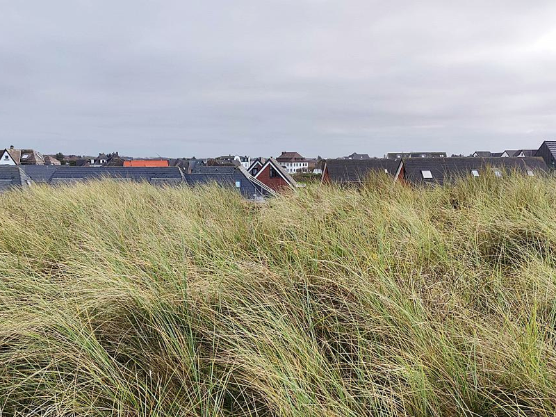 Häuser auf Sylt (Archiv) - Foto: über dts Nachrichtenagentur