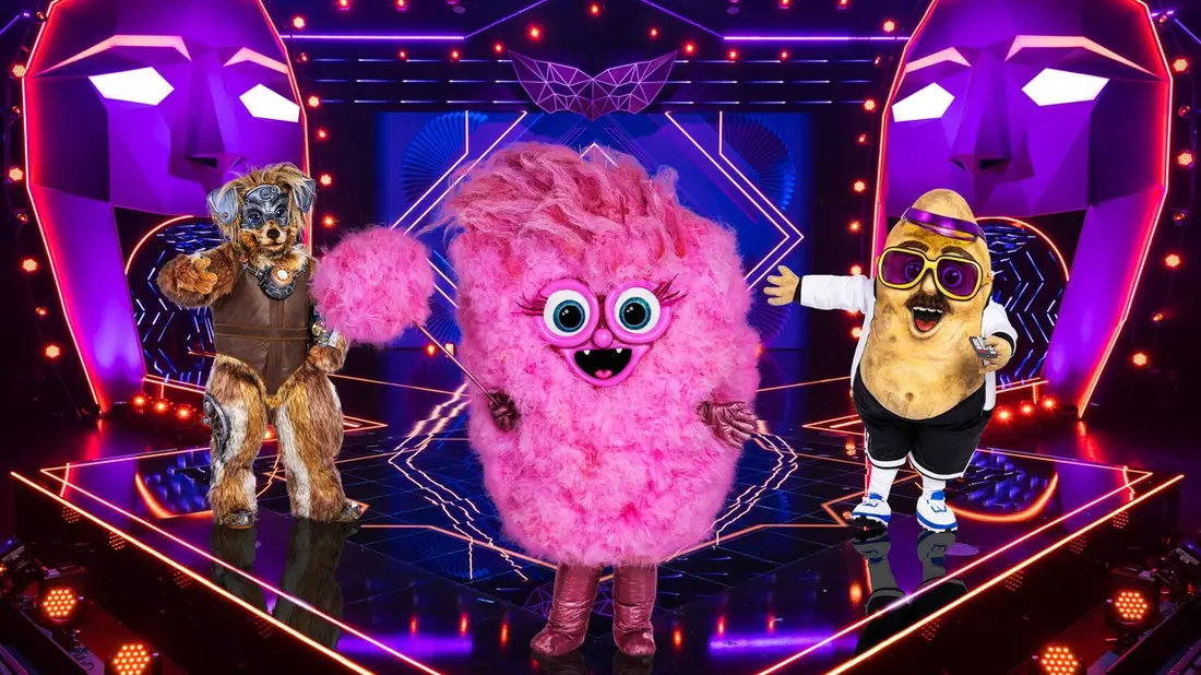 Der Robodog Die Zuckerwatte Die Couchpotato The Masked Singer - Bild: Seven.One/Nadine Rupp/Willi Weber, presseportal.de