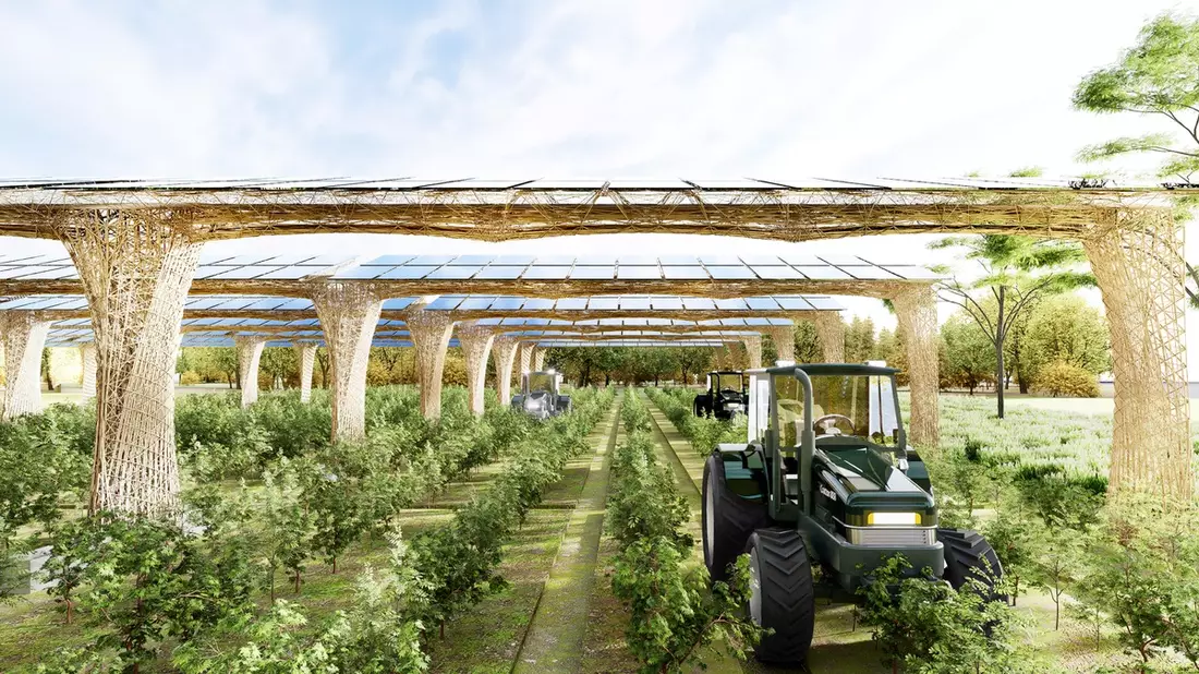 Materialrevolution in der Agri-PV Branche - Bild: presseportal.de