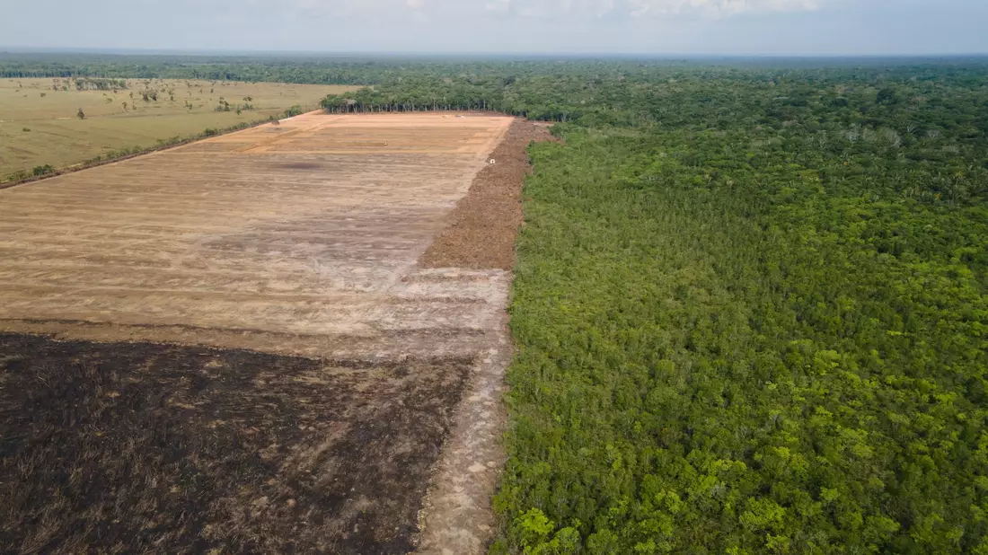 Das Luftbild zeigt eine verbrannte und abgeholzte Fläche im brasilianischen Amazonas-Gebiet. - Bild: Fernando Souza/Zuma Press/dpa