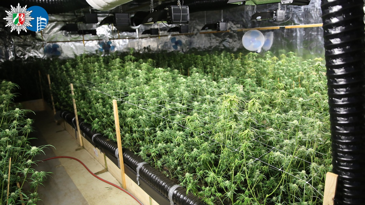 POL-OB: Gemeinsame Pressemitteilung der Staatsanwaltschaft Duisburg und der Polizei Oberhausen: Organisierter Schlag gegen BTM-Tätergruppierung in mehreren NRW-Städten erfolgreich - Foto: presseportal.de