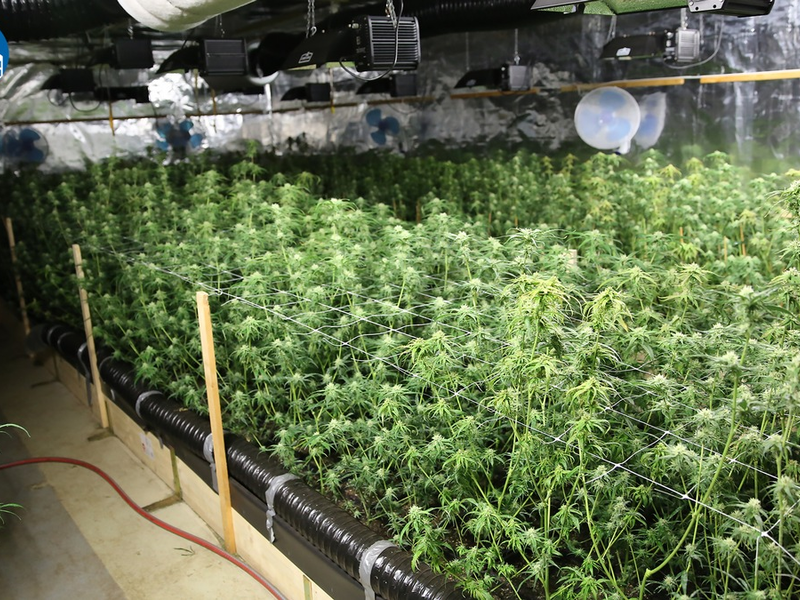 POL-OB: Gemeinsame Pressemitteilung der Staatsanwaltschaft Duisburg und der Polizei Oberhausen: Organisierter Schlag gegen BTM-TÀtergruppierung in mehreren NRW-StÀdten erfolgreich - Foto: presseportal.de