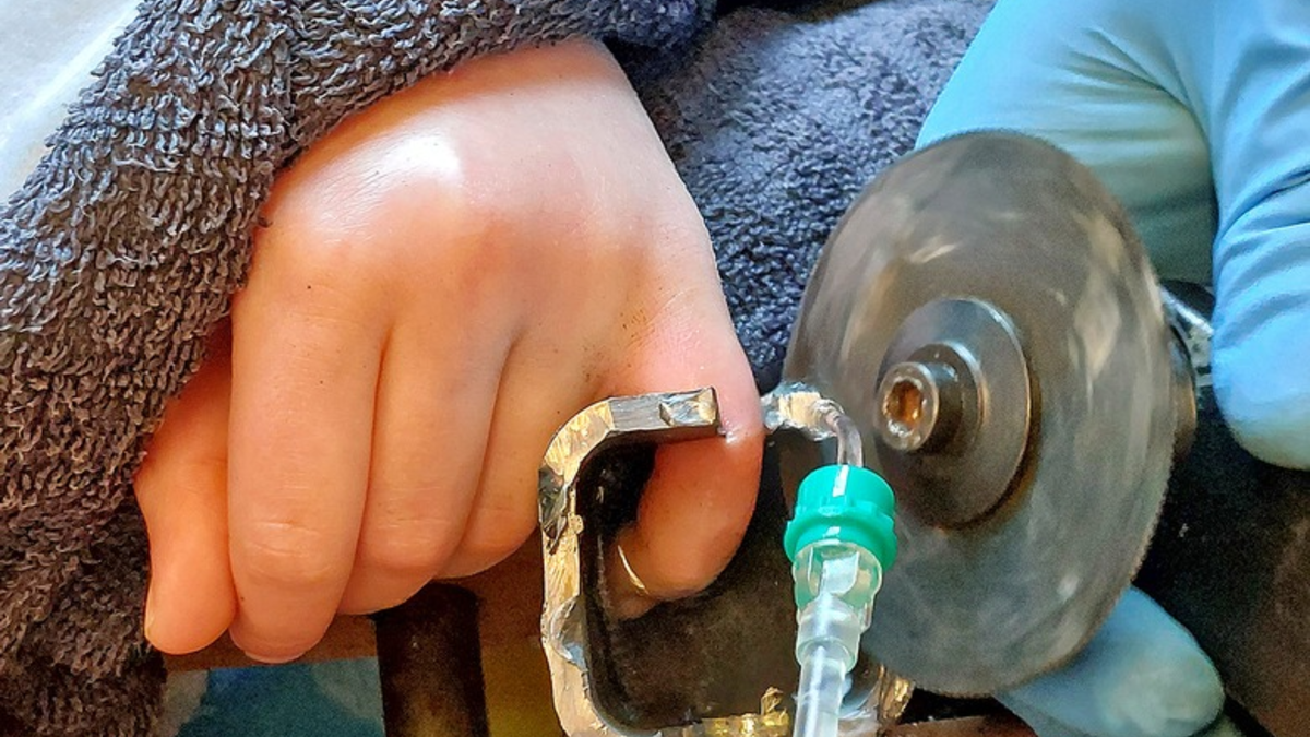 FW-M: Befreiungsaktion nimmt ungeahnte Ausmaße an (Lochhausen) - Foto: presseportal.de