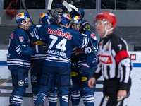 Red Bull München liegt in der Serie gegen Wolfsburg 2:0 in Führung. - Foto: Sven Hoppe/dpa
