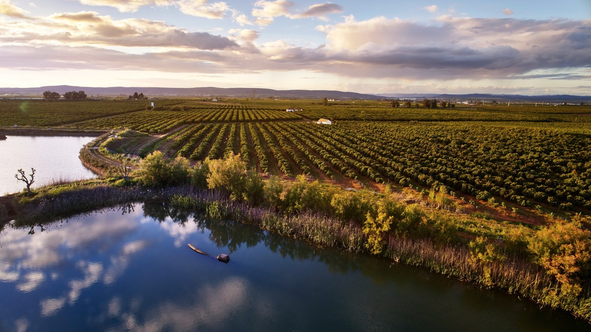 Für nachhaltigere Lieferketten: EDEKA baut Engagement zum Schutz von Süßwasser aus - Foto: presseportal.de
