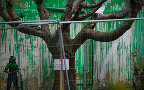 Das Banksy-Kunstwerk wurde mit weißer Farbe verunstaltet, nachdem es am Wochenende in Finsbury Park (London) auftauchte. - Foto: Victoria Jones/PA Wire/dpa